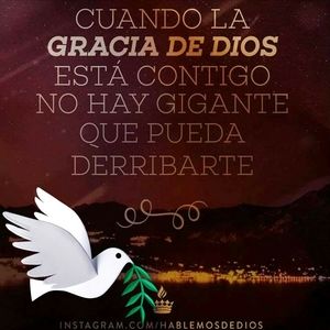 Meet your Posher, Gilberto